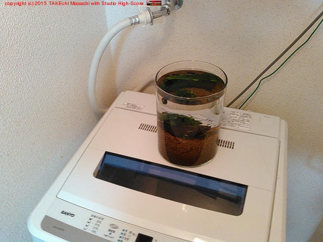 ˥ξϼ(& ʪӻ꤬)ʤΤǰưξ塣 #뵤ʤ