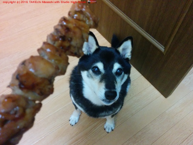 Ρ֤ξƤĻ櫓Ƥ!׸ //Ԥ! ϻ蘆ʤ :)