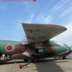 翼の日陰